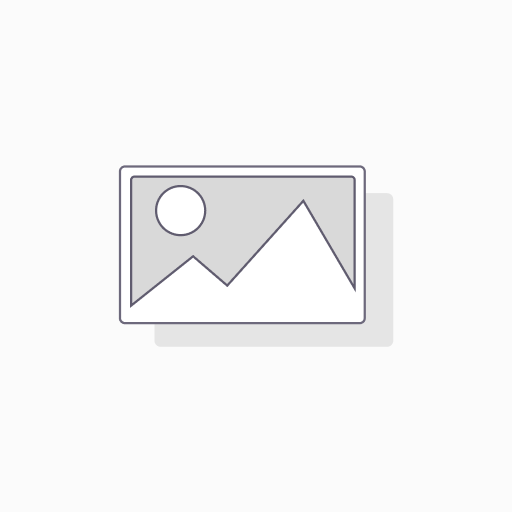 Elegant Analysis Review, live meeting