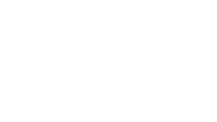 Elegant Investors